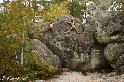 "Orange Circuit" (13)